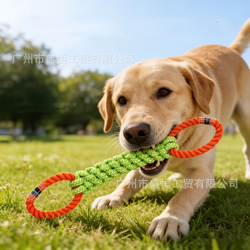 Corn Dog Stick - Brinquedo para cães de corda de