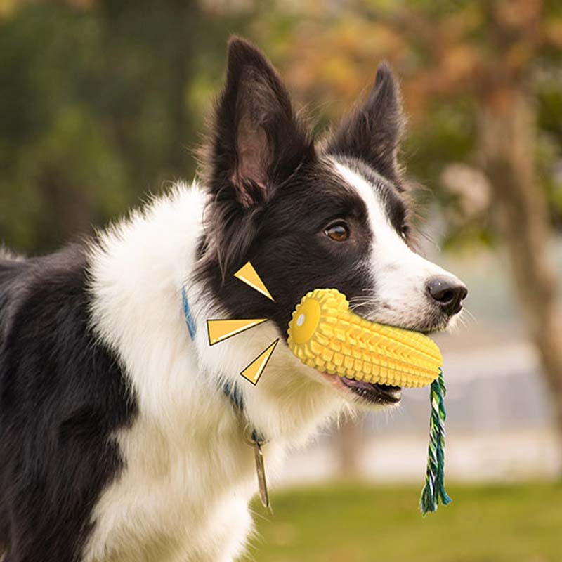 Brinquedo para Cães em Forma d - Corn Dog Stick avaliação e preço